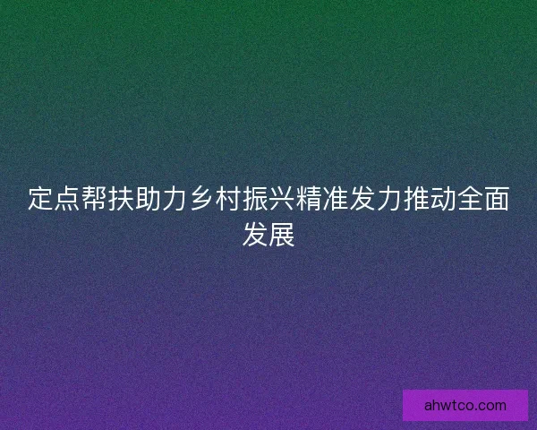 定点帮扶助力乡村振兴精准发力推动全面发展