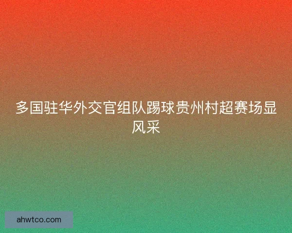 多国驻华外交官组队踢球贵州村超赛场显风采