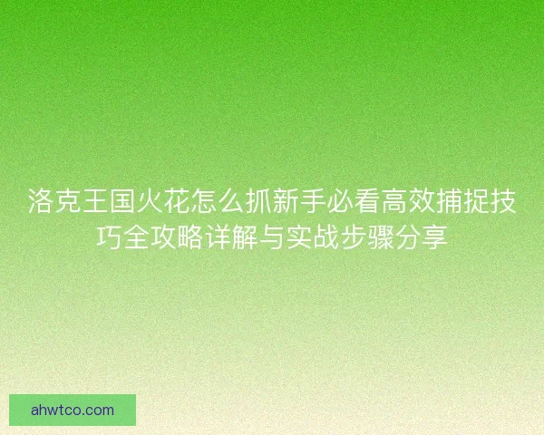 洛克王国火花怎么抓新手必看高效捕捉技巧全攻略详解与实战步骤分享